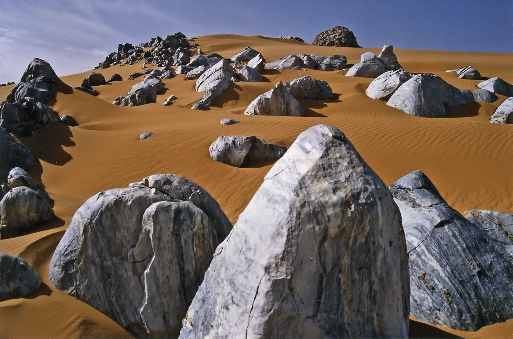 Safari photo dans le Ténéré